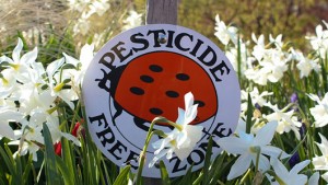 pesticide free zone ladybug sign