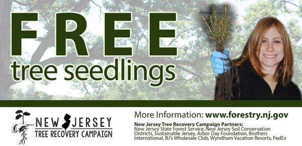 Free Seedling Tree Distribution Newark