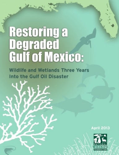 Restoring a degraded gulf of Mexico