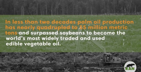 Conflict palm oil destruction