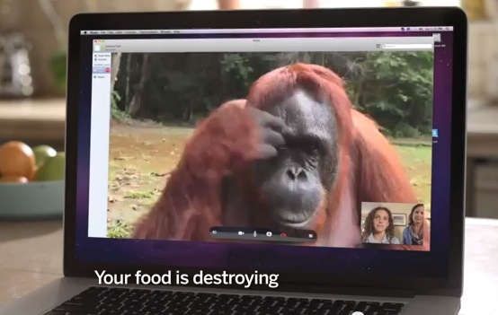 Your food is destroying my home