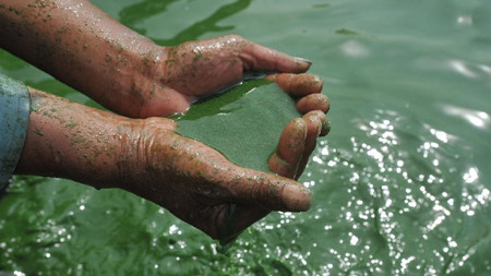 green water in China